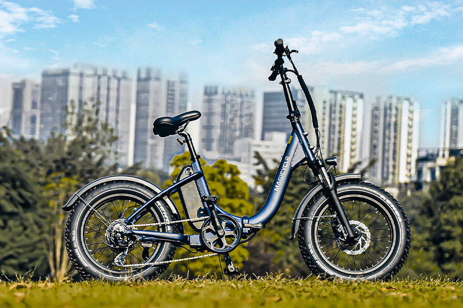 Magicycle Jaguarundi VS RadExpand 5