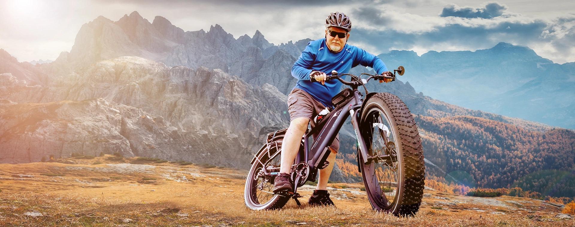 fat tire electric bike for sale