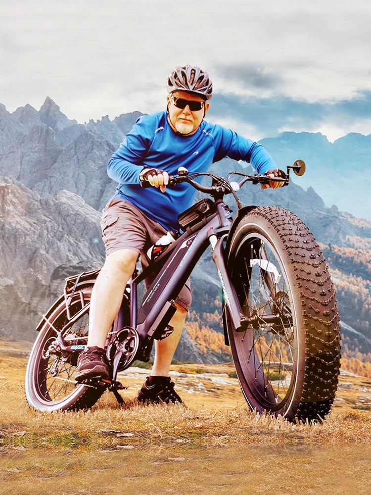 fat tire electric bike for sale