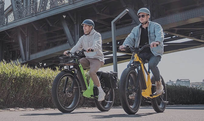 Magicycle Premium Electric Bike