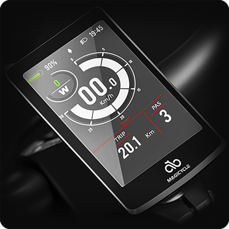 Smart Color LCD Display