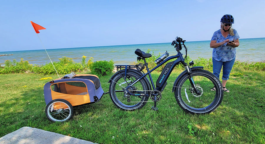 electric bikes for sale - free trail