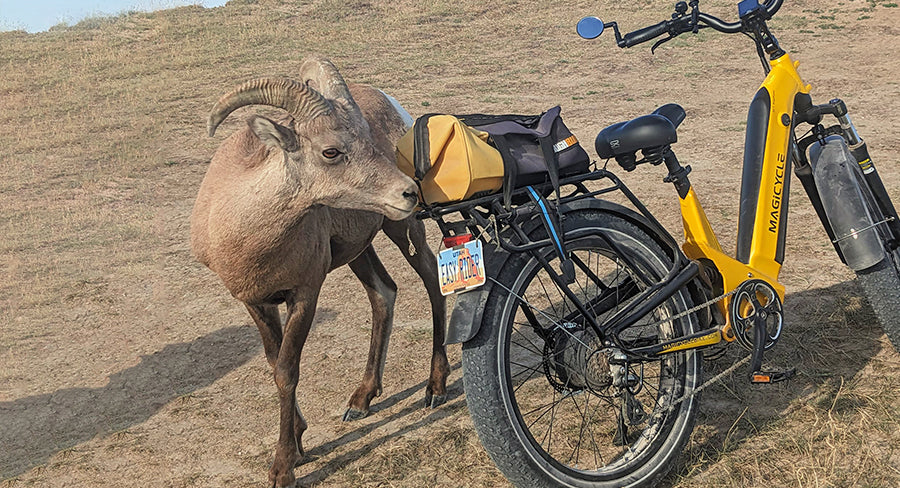 electric bikes for hunting