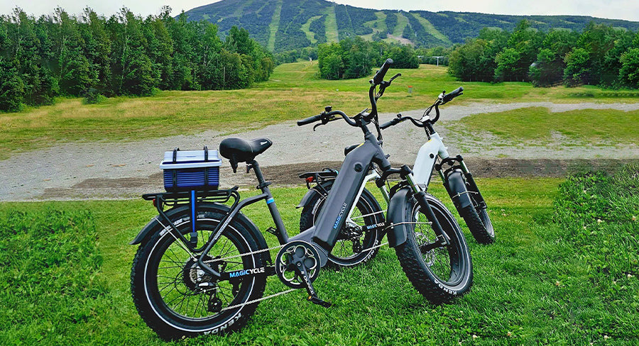 best electric bikes for sale