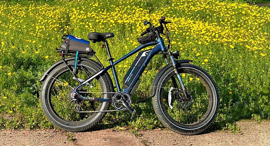 premium ebikes with cruise control