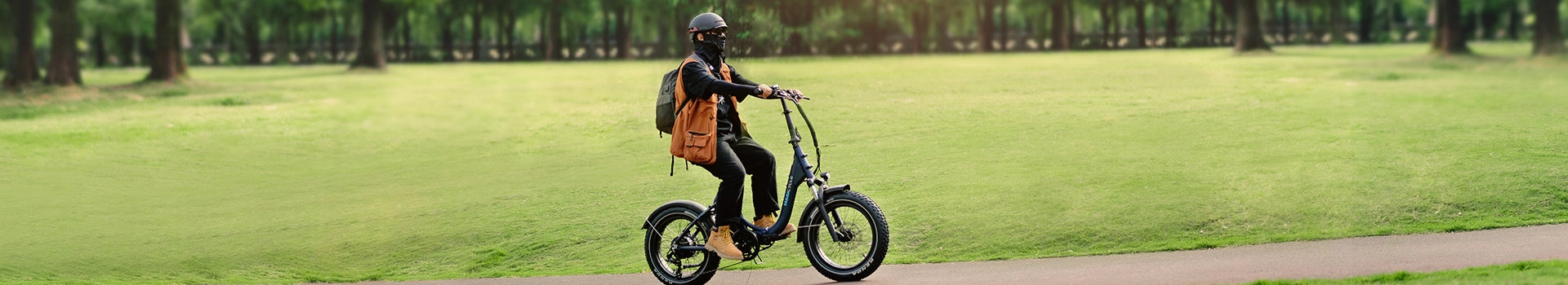 Folding Electric Bike