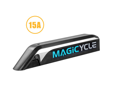 electric bike for adults accessories battery