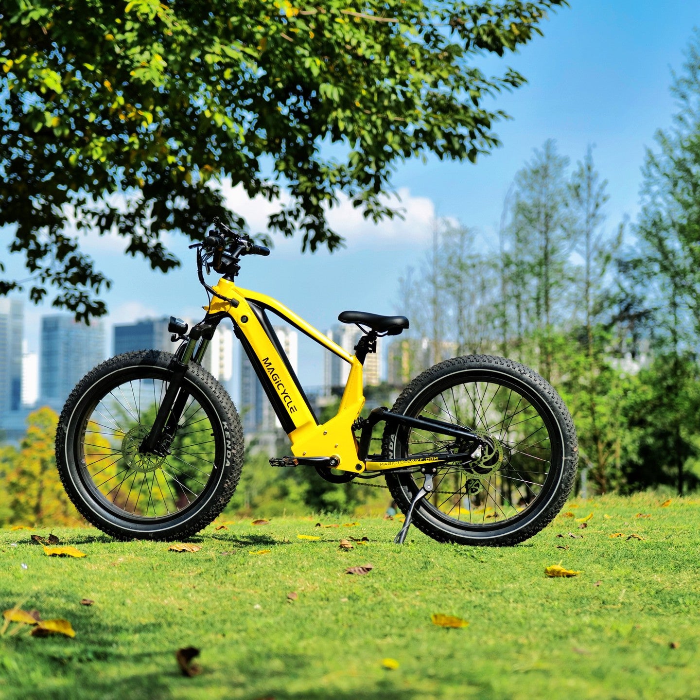  off road electric bike