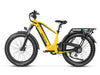class 1 ebike