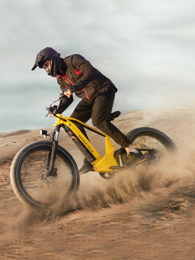 fat tire electric bike for sale