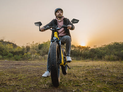 Extra-Large Handlebar End Ebike Mirror