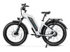 Magicycle 52V 15Ah Cruiser All Terrain Fat Tire Electric Bike