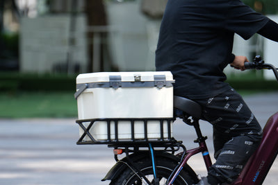 Hard Cooler Insulated Portable Chest Box