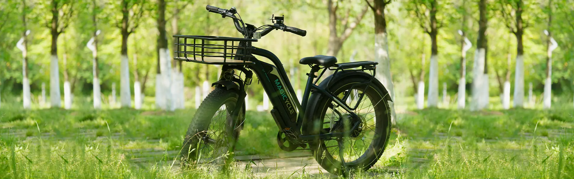 magicycle ebike front basket step